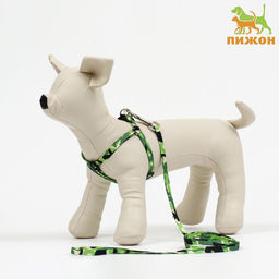 Комплект Камуфляж, капрон, поводок 120 х 1 см, ОШ 16,5-27 см, ОГ 21-35 см, зелёный