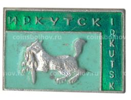 Значок Иркутск