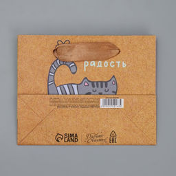 Пакет крафтовый горизонтальный Несу радость, S 15 12 5,5 см - Дарите счастье фото 6