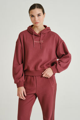 Худи утепленное Красный ICONIC Sweat Hoodie