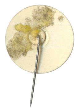 Значок Лодзь (Польша)