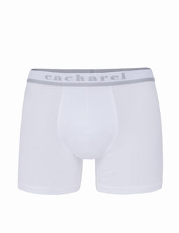 Белые боксеры