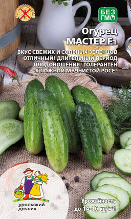 Огурец МАСТЕР F1  Вкус свежих и солёных зеленцов отличный! Длительный период плодоношения! Толерантен к ложной мучнистой росе!