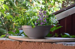 Пластиковая миска Парма, D30, серый муссон