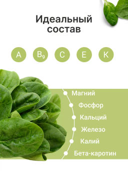 Шпинат порошок 100г (состав: порошок шпинат)