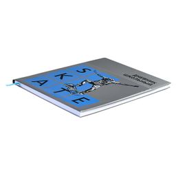 Дневник школьный арт. 58937 / 15 СКЕЙТ ТРЮК - Феникс+ фото 4