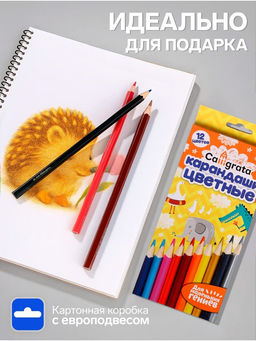 Карандаши Calligrata цветные, 12 цветов, деревянные, трёхгранные, в картонной коробке
