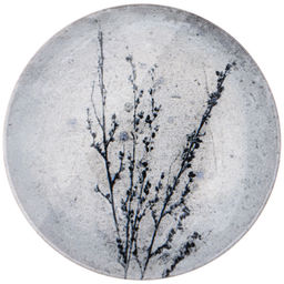 ТАРЕЛКА СУПОВАЯ PROVENCE 21СМ БЕЗ УПАК. - Bronco фото 3