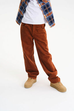 PELICAN, брюки для мальчиков, Коричневый