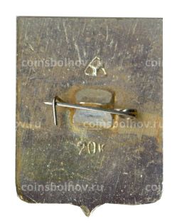 Значок Юрьев