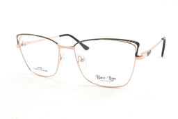 BAOLYN 1021B C4 55-17-140