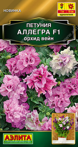 Петуния Аллегра F1 орхид вейн полумахровая