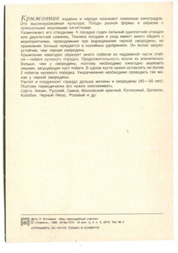Открытка Крыжовник