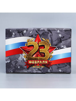 Цена за 2 шт. Коробка подарочная сборная, упаковка, «23 февраля», 22×15×10 см