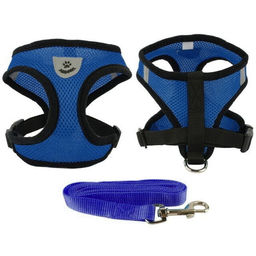 Цена за 2 шт. Шлейка с поводком 118см "Sweet puppy" размер L, цвет голубой