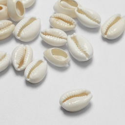 Бусины для творчества Ракушка, 2?1 см, необычная,14-18 мм, набор 20 шт., белые