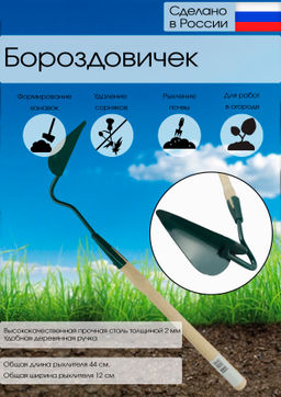 Цена за 2 шт. Бороздовичок малый с черенком