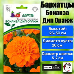 Бархатцы отклоненные Бонанза Дип Оранж - Партнер фото 2