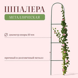 Шпалера, 140×23×1 см, металл, зелёная, «Лестница», МИКС