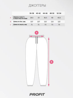 Спортивные штаны/джоггеры женские черные bp.070.001 - Profit фото 7