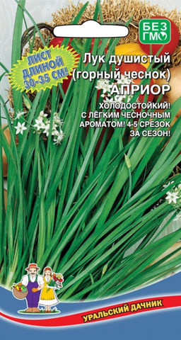 Лук душистый АПРИОР Горный чеснок! 4-5 срезок за сезон! Дист длиной 30-35 см!
