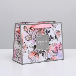 Пакет ламинированный горизонтальный Present for you, MS 23 18 10 см