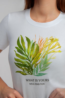 Арт. 3750 Футболка женская 42-50 (5 шт) Цвет:белый - Калинка фото 13