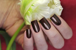 El Corazon 423/ 953 active Bio-gel Eastern Organza