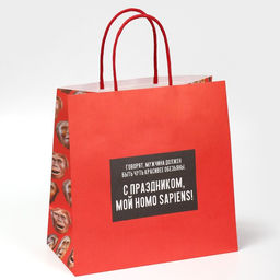 Цена за 2 шт. Пакет подарочный, упаковка, Обезьяна, 22?22?11 см