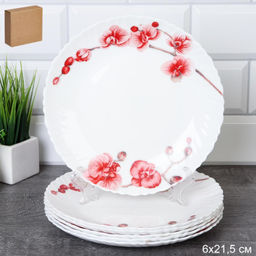 Набор тарелок 6 штук 215 мм / 36/LHP-FW4 (6755) /уп 2/ Орхидея на ветке