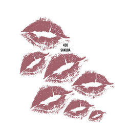 Карандаш для губ Professional, 430 Sakura