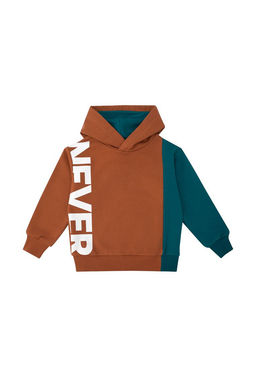 Джемпер (худи) с капюшоном д/мал. Арни - Oldos фото 4