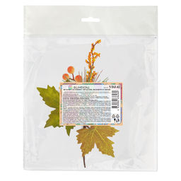 Blumentag VDJ-42 Веточка осенняя с ягодами, яблоком и хвоей 22 х 3 х 1 шт. 01  фото 5