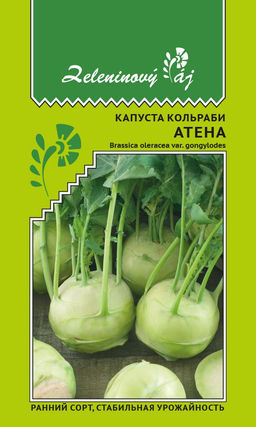 Капуста кольраби АТЕНА Ранний сорт, стабильная урожайность!