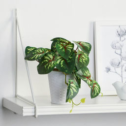 Искусственный цветок в горшке Сингониум ред, 9?17 см