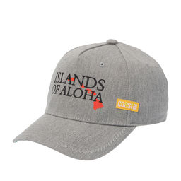 Бейсболка COASTAL арт. 6P Curved Visor Island (светло-серый)