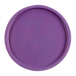 Летающая тарелка Динозавры, виды МИКС - Simaland фото 4