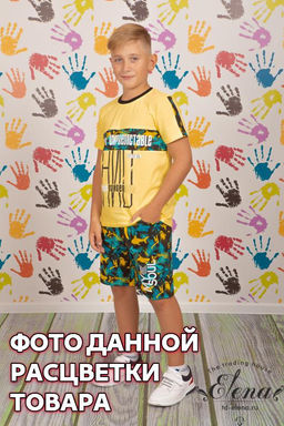 Костюм (футб+шорты) Арт. 21964П Набивка - Елена фото 2