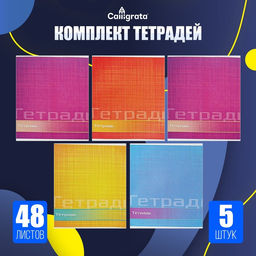 Комплект тетрадей из 5 штук (4 разные + 1 повторяющаяся), 48 листов в линию Calligrata «Цвет и графика», обложка мелованная бумага, блок №2, белизна 75% (серые листы)