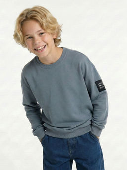 Лонгслив с нашивкой 22-7310 серо-голубой