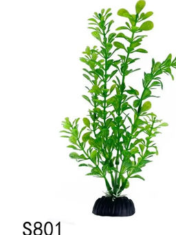 Растение Алиса 801S (4*20см)