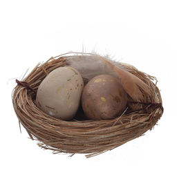Набор из 6-ти изделий декоративных "Гнездо пасхальное", L18 W12 H2 см
