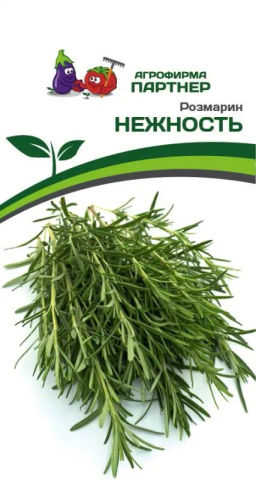 Розмарин Нежность