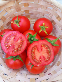 Томат ИВАНОВНА  Устойчив к похолоданию, изнуряющей жаре и засухе! Завязывает множество плодов! - Уральский дачник фото 2