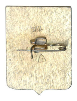 Значок Владимир