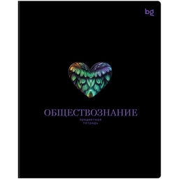 Цена за 2 шт. Тетрадь 48л. ИНФОРМАЦИОННОЕ ПОЛЕ "Обществознание" (ТП5ск48_лс_вл 63881, BG) soft-touch ламинация, выб.лак
