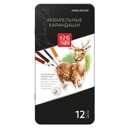 Аква-колор Изостудия IZO-WCPM12 Набор акварельных карандашей заточенный 2 х 12 цв. в металлической коробке
