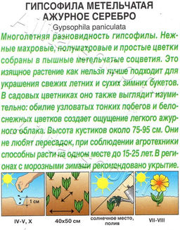 Гипсофила Ажурное серебро 0,05г (Аэлита)