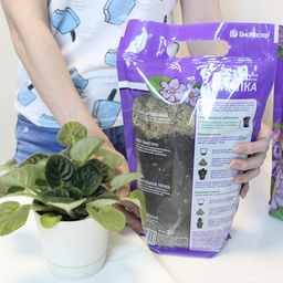 Субстрат "Фиалка" 2л