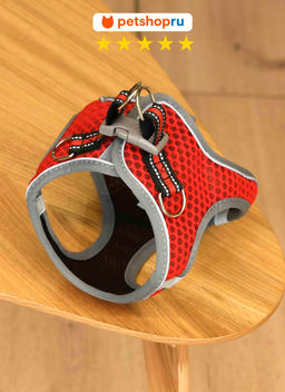 ВВА Шлейка-майка для малых и средних пород, дышащая ткань, S, цвет в ассортименте PS158